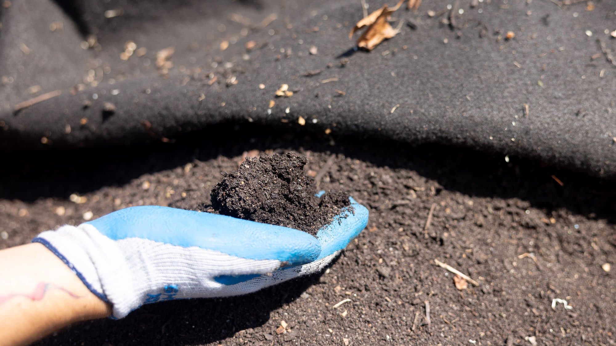 Compost Build Community Volunteer Days